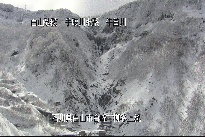 柳谷上流 のカメラ画像