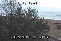 根上海岸 のカメラ画像