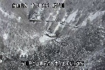 猿花 のカメラ画像