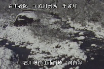 河内谷 のカメラ画像
