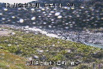 鶴来 のカメラ画像