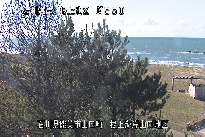 根上海岸 のカメラ画像