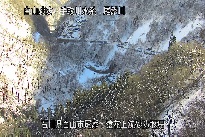 猿花 のカメラ画像