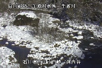 河内谷 のカメラ画像