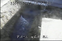 坂尻 のカメラ画像