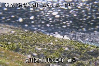 鶴来 のカメラ画像