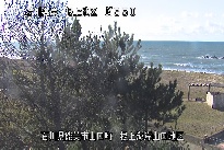 根上海岸 のカメラ画像