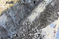 中ノ川下流 のカメラ画像