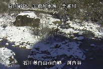 河内谷 のカメラ画像