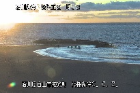 松任CCZ のカメラ画像