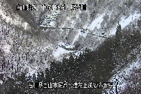 猿花 のカメラ画像