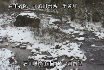 河内谷 のカメラ画像