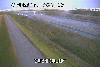 山田 のカメラ画像