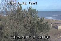 根上海岸 のカメラ画像
