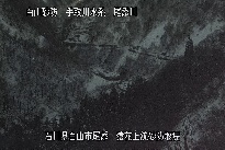 猿花 のカメラ画像