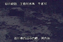 河内谷 のカメラ画像