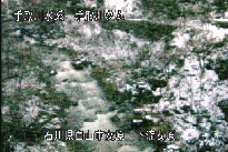 東二口 のカメラ画像