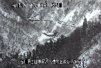 猿花 のカメラ画像