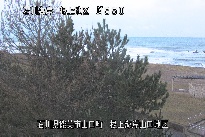 根上海岸 のカメラ画像