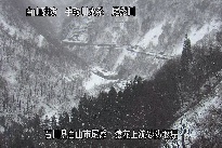 猿花 のカメラ画像