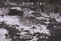 河内谷 のカメラ画像