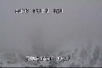 柳谷上流 のカメラ画像