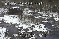 河内谷 のカメラ画像