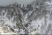 柳谷上流 のカメラ画像