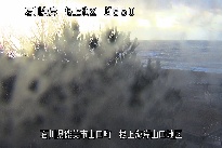 根上海岸 のカメラ画像