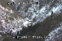 猿花 のカメラ画像