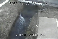 坂尻 のカメラ画像