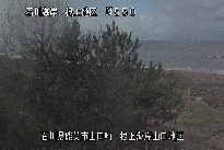 根上海岸 のカメラ画像