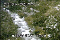 東二口 のカメラ画像