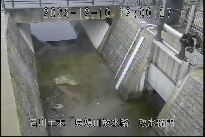取水樋門 のカメラ画像