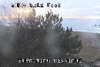 根上海岸 のカメラ画像