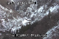 猿花 のカメラ画像