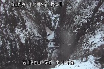 中ノ川中流 のカメラ画像