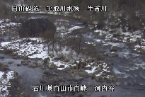 河内谷 のカメラ画像