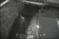 坂尻 のカメラ画像