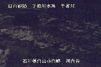 河内谷 のカメラ画像