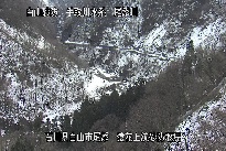 猿花 のカメラ画像