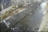 上野橋 のカメラ画像