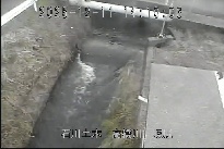 坂尻 のカメラ画像