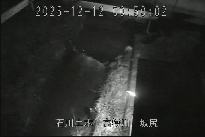 坂尻 のカメラ画像