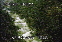 東二口 のカメラ画像