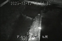 坂尻 のカメラ画像