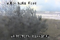 根上海岸 のカメラ画像