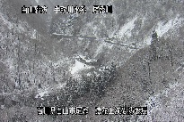 猿花 のカメラ画像