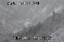 猿花 のカメラ画像