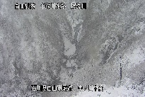 中ノ川中流 のカメラ画像